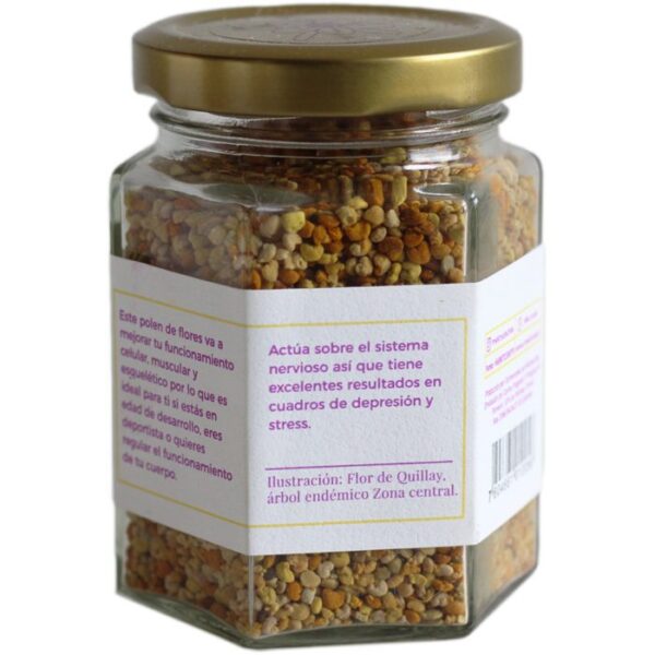 Polen (100g) Bees & Health - Imagen 4