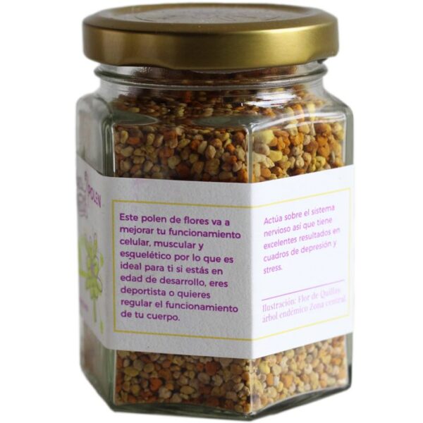 Polen (100g) Bees & Health - Imagen 2