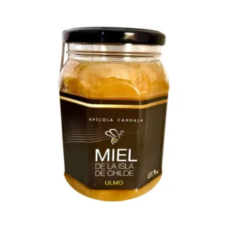 Miel Ulmo (1Kg) Apícola Cahuala